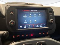 Usata Fiat Panda Cross Cross 2024 Rosso Utilitaria