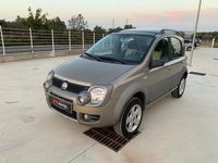 Usata Fiat Panda Cross Cross 75 CV (55 kW) 2006 Verde Utilitaria