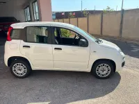 Usata Fiat Panda Easy 69 CV (50 kW) 2020 Bianco Utilitaria
