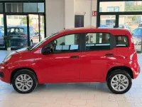 Usata Fiat Panda Easy 70 CV (51 kW) 2019 Rosso Utilitaria