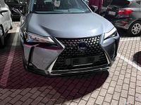 Usata Lexus UX 152 CV (111 kW) 2021 Grigio SUV