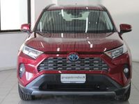 usata Toyota RAV4 Hybrid 2WD Dynamic del 2019 usata a Potenza