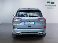 Usata Ford Kuga ST-Line 190 CV (139 kW) 2023 Solar silver SUV