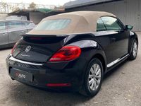 usata VW Maggiolino CABRIO 2.0 TDI 110cv Sport