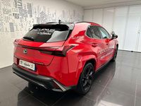 Usata Lexus UX 300h Sport Line 184 CV (135 kW) 2024 Rosso SUV