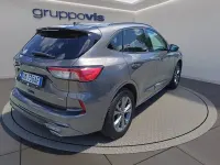 Usata Ford Kuga ST-Line X 190 CV (139 kW) 2023 Magnetic grey SUV