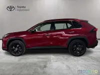 Usata Toyota RAV4 Hybrid Lounge 178 CV (130 kW) 2019 Rosso SUV