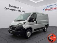 Usata Fiat Ducato 33 140 CV (102 kW) 2020 Argento metallizzato Furgone