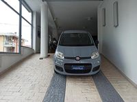 Usata Fiat Panda Easy 69 CV (50 kW) 2019 Grigio Utilitaria