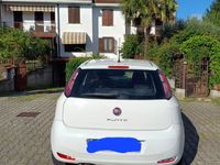 Usata Fiat Punto 69 CV (50 kW) 2013 Bianco Utilitaria