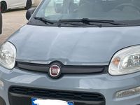 Usata Fiat Panda 70 CV (51 kW) 2022 Grigio Berlina