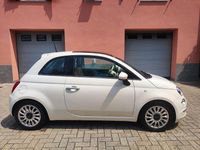 Usata Fiat 500 Lounge 69 CV (50 kW) 2019 Bianco Utilitaria