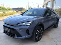 Usata Cupra Formentor 150 CV (110 kW) 2024 Grigio graphene met SUV