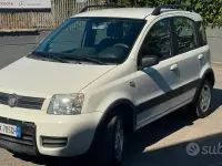 Usata Fiat Panda Climbing 60 CV (44 kW) 2009 Bianco Utilitaria