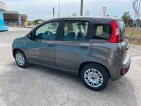 usata Fiat Panda 1.0 FireFly S&S Hybrid