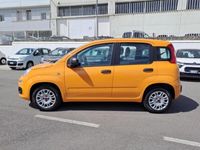 usata Fiat Panda 1.2 69cv S&S E6d-Temp Easy