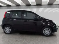 Nuova Fiat Panda Icon 70 CV (51 kW) 2025 Bianco Berlina