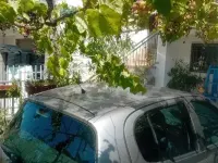 Usata Toyota Yaris 68 CV (50 kW) 2003 Berlina
