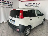 Usata Fiat Panda Pop 69 CV (50 kW) 2019 Bianco Utilitaria
