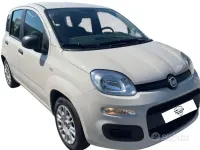 Usata Fiat Panda Lounge 69 CV (50 kW) 2017 Beige Utilitaria