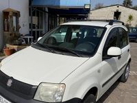 Usata Fiat Panda 4x4 2010 Bianco Utilitaria
