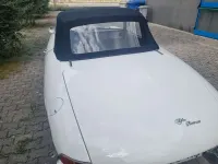 Usata Alfa Romeo Spider 90 CV (66 kW) 1966 Bianco Cabrio