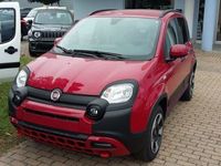 usata Fiat Panda 4x4 1.0 FireFly S&S Hybrid