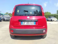 Usata Fiat Panda Pop 69 CV (50 kW) 2012 Rosso Utilitaria