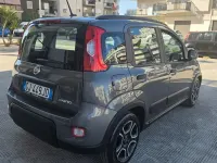 Usata Fiat Panda City Life 70 CV (51 kW) 2022 Grigio Utilitaria