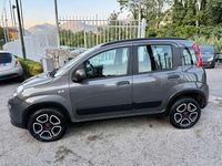 Usata Fiat Panda Easy 80 CV (58 kW) 2021 Grigio Utilitaria