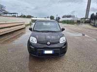 Usata Fiat Panda S 69 CV (50 kW) 2024 Nero Utilitaria