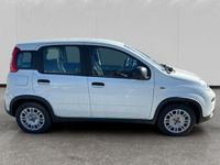 Usata Fiat Panda S 70 CV (51 kW) 2024 Bianco Utilitaria