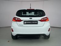 usata Ford Fiesta 7ª serie 1.0 Ecoboost 100 CV 5 porte Titanium