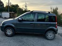 Usata Fiat Panda 77 CV (56 kW) 2010 Grigio Utilitaria