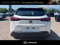 Nuova Lexus UX 300h 199 CV (146 kW) 2026 Biancoblack SUV