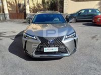 Usata Lexus UX 152 CV (111 kW) 2020 Grigio SUV