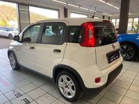 Usata Fiat Panda S 69 CV (50 kW) 2024 Bianco Utilitaria