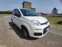 Usata Fiat Panda 69 CV (50 kW) 2020 Bianco Utilitaria