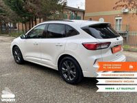 usata Ford Kuga Kuga 3 serie1.5 EcoBlue 120 CV 2WD ...