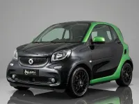 Usata Smart ForTwo Electric Drive Passion 41 kW (56 CV) 2018 Nero/verde Utilitaria