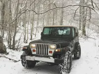 Usata Jeep Wrangler Limited 184 CV (135 kW) 1996 Verde SUV