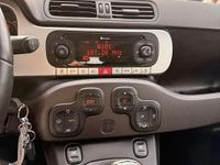 Usata Fiat Panda Cross Cross 95 CV (69 kW) 2017 Rosso Utilitaria