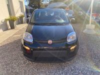 usata Fiat Panda 1.0 1.0 FireFly S&S Hybrid City Life