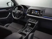 Usata Skoda Karoq 150 CV (110 kW) 2020 Argento SUV