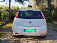 usata Fiat Punto 1.3 Multijet 75 CV 5 porte lounge 2015