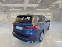 Usata BMW X5 231 CV (169 kW) 2020 Grigio SUV