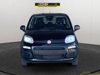 Usata Fiat Panda S 69 CV (50 kW) 2024 Viola Utilitaria