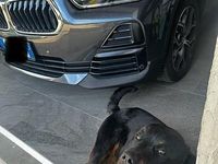 Usata BMW X2 150 CV (110 kW) 2021 Grigio SUV