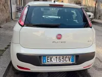 Usata Fiat Punto Evo 75 CV (55 kW) 2011 Bianco Utilitaria