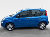 Nuova Fiat Panda Pop 69 CV (50 kW) 2026 Blu italia Utilitaria